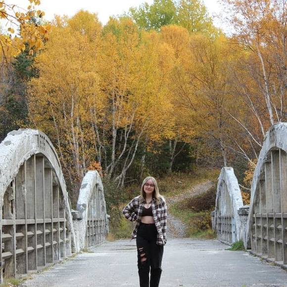 Meet your Posher, Zelda - Picture 1 of 1